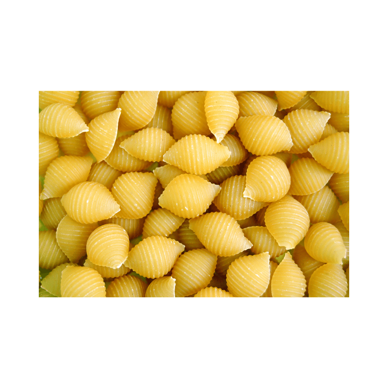Shell Pasta Box Shell Pasta 1kg – Qiksmart